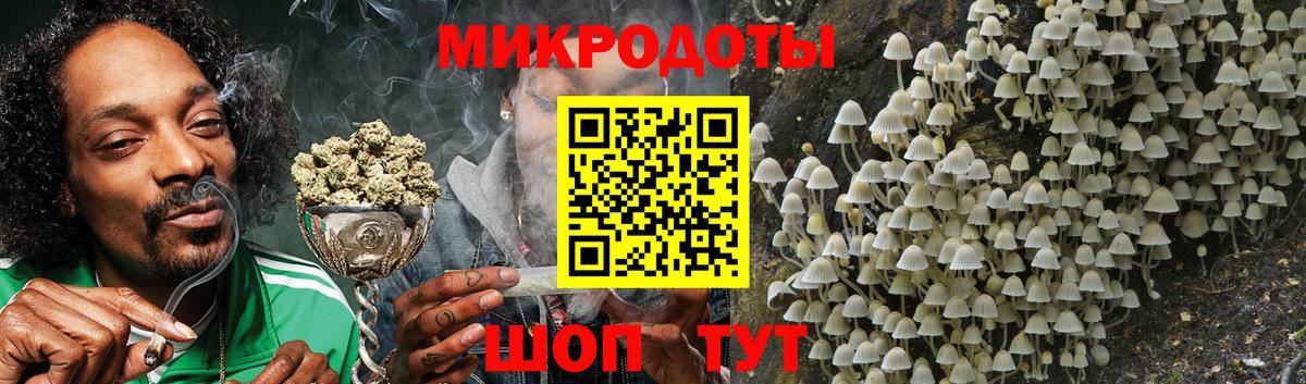 Псилоцибиновые грибы Psilocybe Усть-Джегута