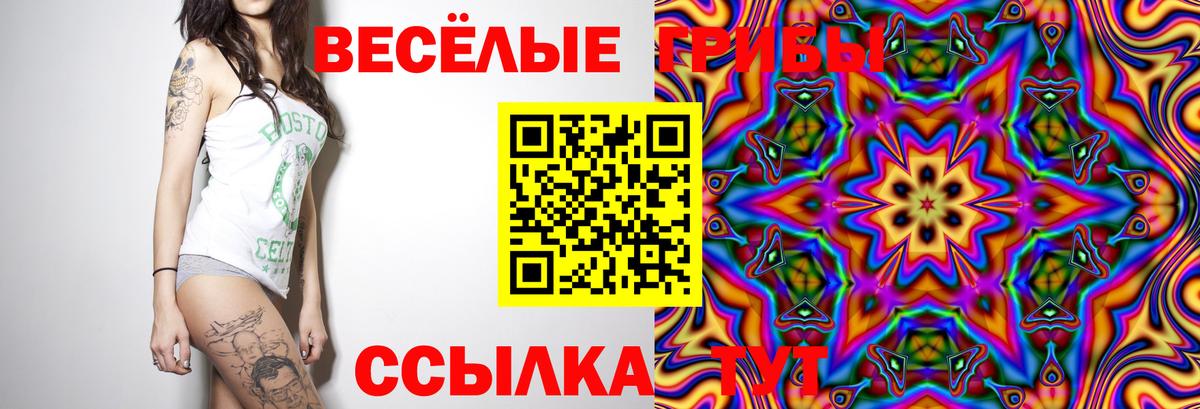 Галлюциногенные грибы прущие грибы  Вход с VPN  Усть-Джегута  Псилоцибиновые грибы Magic Shrooms 